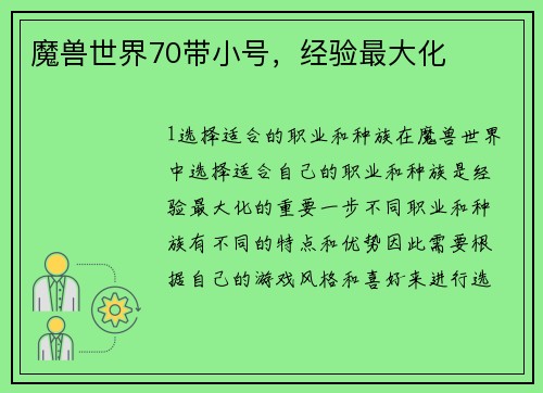 魔兽世界70带小号，经验最大化